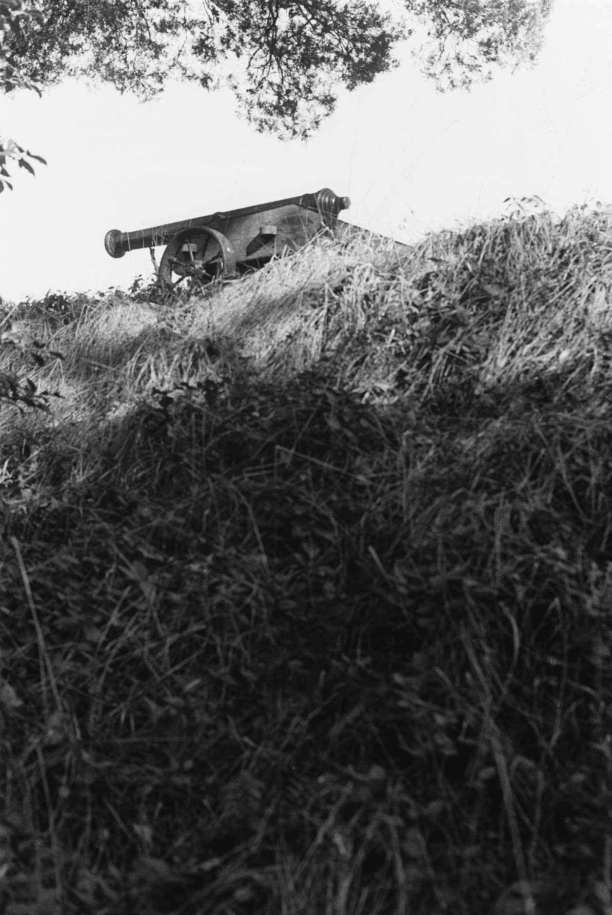 DHR Virginia Department of Historic Resources » 0460095 Fort Boykin