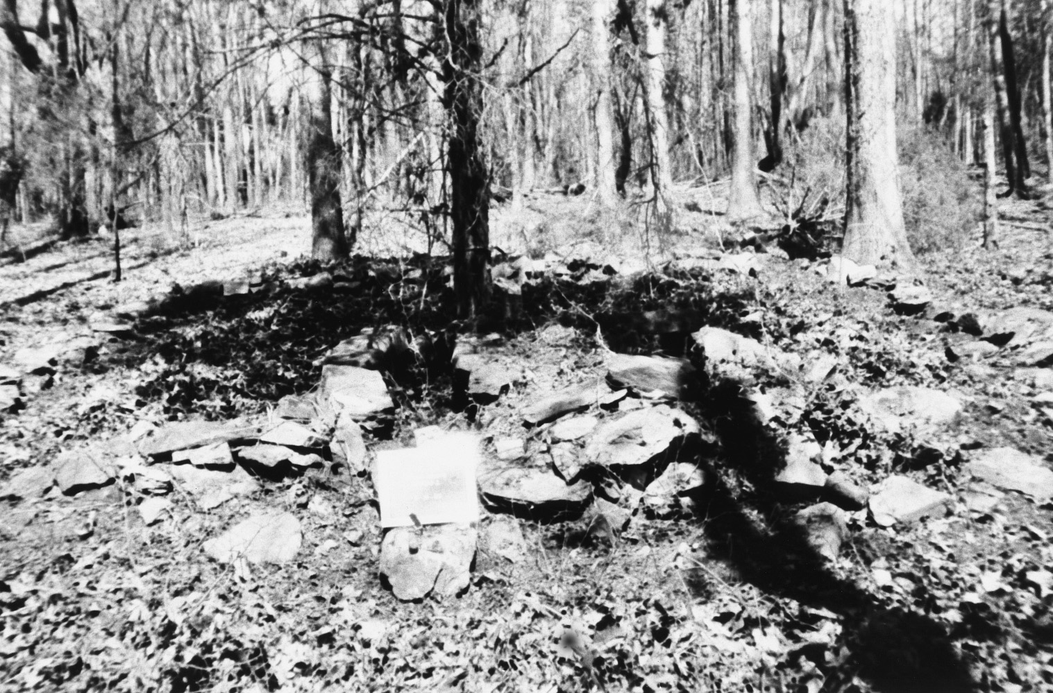 DHR Virginia Department of Historic Resources » 0585004 Cedar Grove