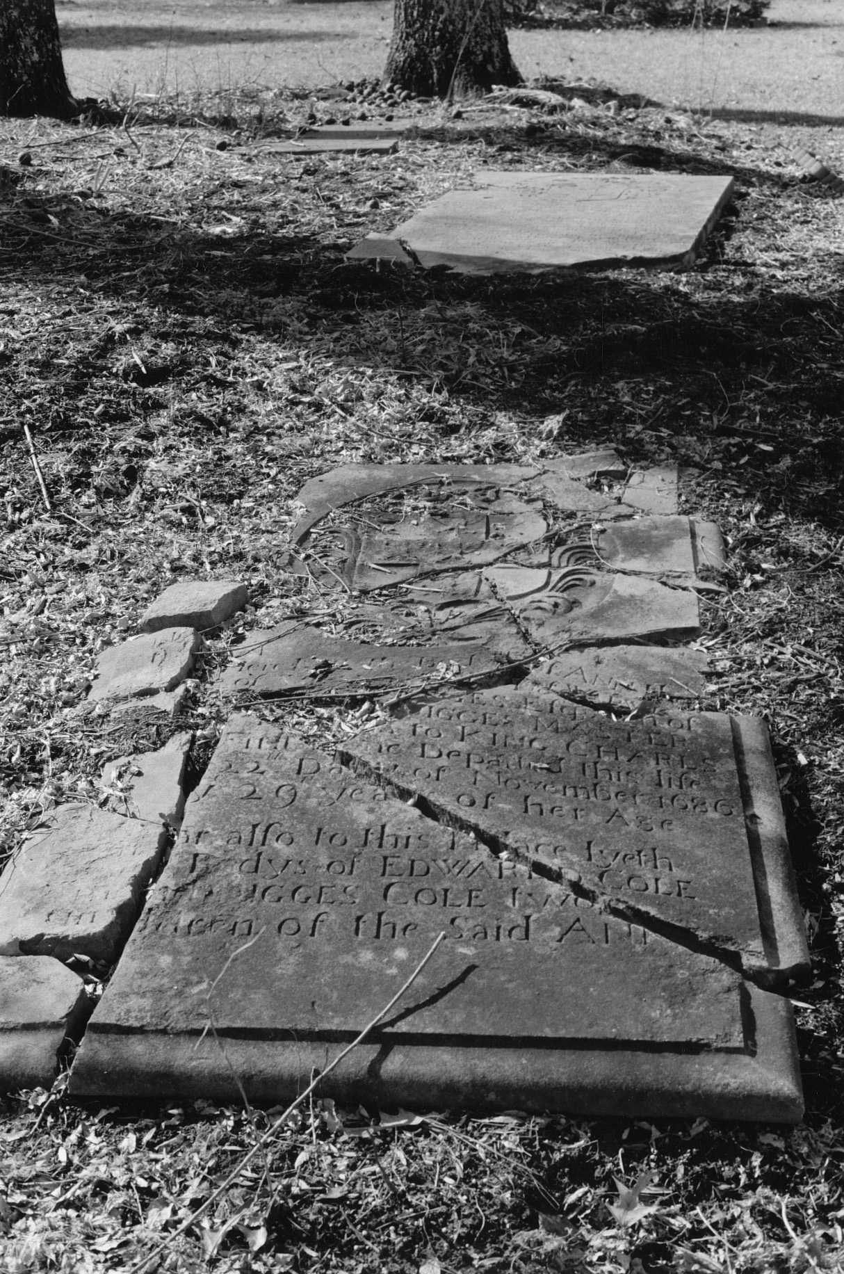 Dhr Virginia Department Of Historic Resources 121 0005 Boldrup