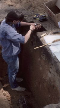 For an archaeologist, soil can hold much information. In fact, soil may be the most important artifact at an archaeological site! Soil samples are often taken from well-provenienced layers and features in order to recover the smallest items. The soil samples may be water-screened or floated, or they may be used for to analyze the amount of chemicals, pollen, phytoliths, or starch in the soil. Phytoliths are microscopic silica bodies created by plants, especially grasses and cereals. Each plant species has a distinct pollen and phytolith signature. Screening soil with water through fine mesh screens, rather than by hand through large mesh screens, can recover items as small as 1/16 inch. Items like small glass beads, fish bones, and charred nut and seed fragments may be recovered. Flotation is different from water screening. For flotation a soil sample is placed in water, agitated, and filtered through an extremely fine screen, leaving behind both a light fraction (items that float to the top, such as bits of charcoal or charred seeds) and a heavy fraction (items that do not float). The charcoal and charred nuts and seed fragments are then identified to help document the environment and what people gardened and gathered for their diet. Soil samples may be sent to a specialized laboratory to identify the pH readings and chemicals, such as phosphates and calcium in the soil. Soil chemical analysis is an important way to understand past activities that occurred in different locations within a site. Plants produce pollens and phytoliths that can be preserved in the ground for thousands of years and can provide detailed evidence of past environments. Pollen grains allow archaeologists to understand the trees, bushes, and plants from past environments and how people may have used them. 