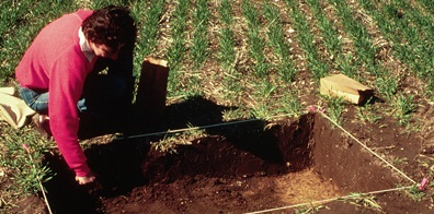 Once the site has been located through surface collection, archaeologists will take a peek at it by digging a series of small squares called test units. The test units are just big enough for an archaeologist to work comfortably in and to expose enough surface area to see the underlying strata and any features that may be there. Since any type of excavation is destructive to the site, archaeologists want to expose just enough to obtain basic information about the site size, as well as artifact and feature concentrations at the site.