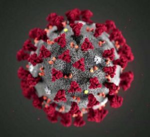 Molecular image of coronavirus
