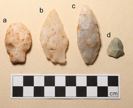 Shows four lithic points of varying shape and size