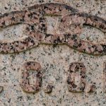 INTERNATIONAL ORDER OF ODDFELLOWS: symbols include chain with three links, axe.