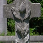 FURLED FLOWER BUD: a life ended before it began.