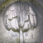 WILLOW: Mourning, weeping, mortality. See also memento mori.