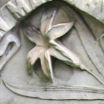 LILY: Purity, chastity, innocence.