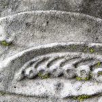 LILY OF THE VALLEY: Purity, rebirth, new life.