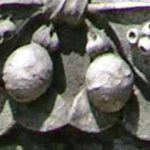 POMEGRANATE: Resurrection.