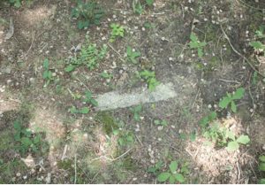Shows a grave stone embedded in ground.