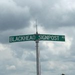 Blackhead Signpost Road