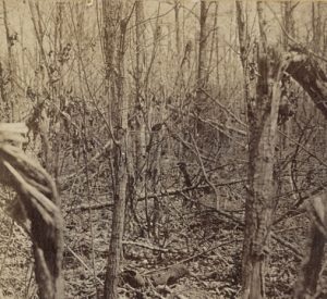 In 1864, G. O. Brown photographed the battlefield at The Wilderness. The tangled mass of thick, destroyed vegetation shows the challenges faced by all combatants. In the foreground, empty boots may be seen. It was in this confusion that the 12th Virginia accidentally engaged the 41st Virginia, killing several Confederate soldiers and badly wounding General Longstreet, image courtesy of the Library of Congress