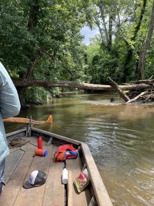 ”Sweeping the deck!!” is something you often hear when passing below branches, or in this case, a fallen tree here in a river side channel.