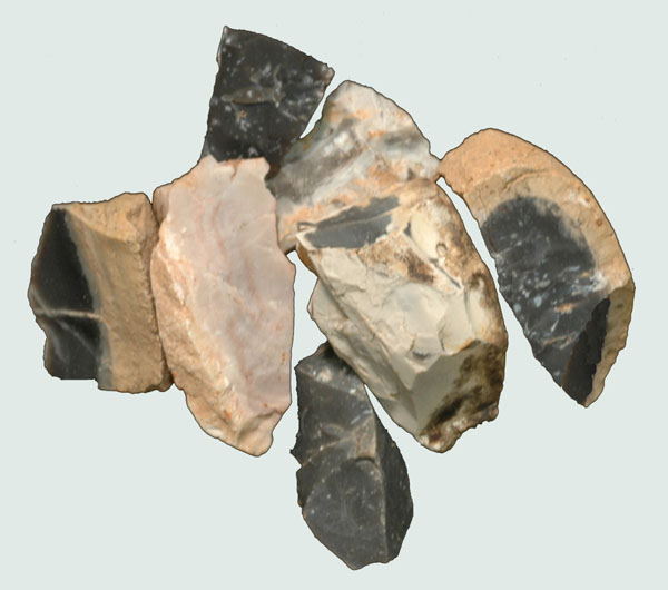 Rich Patch Chert
