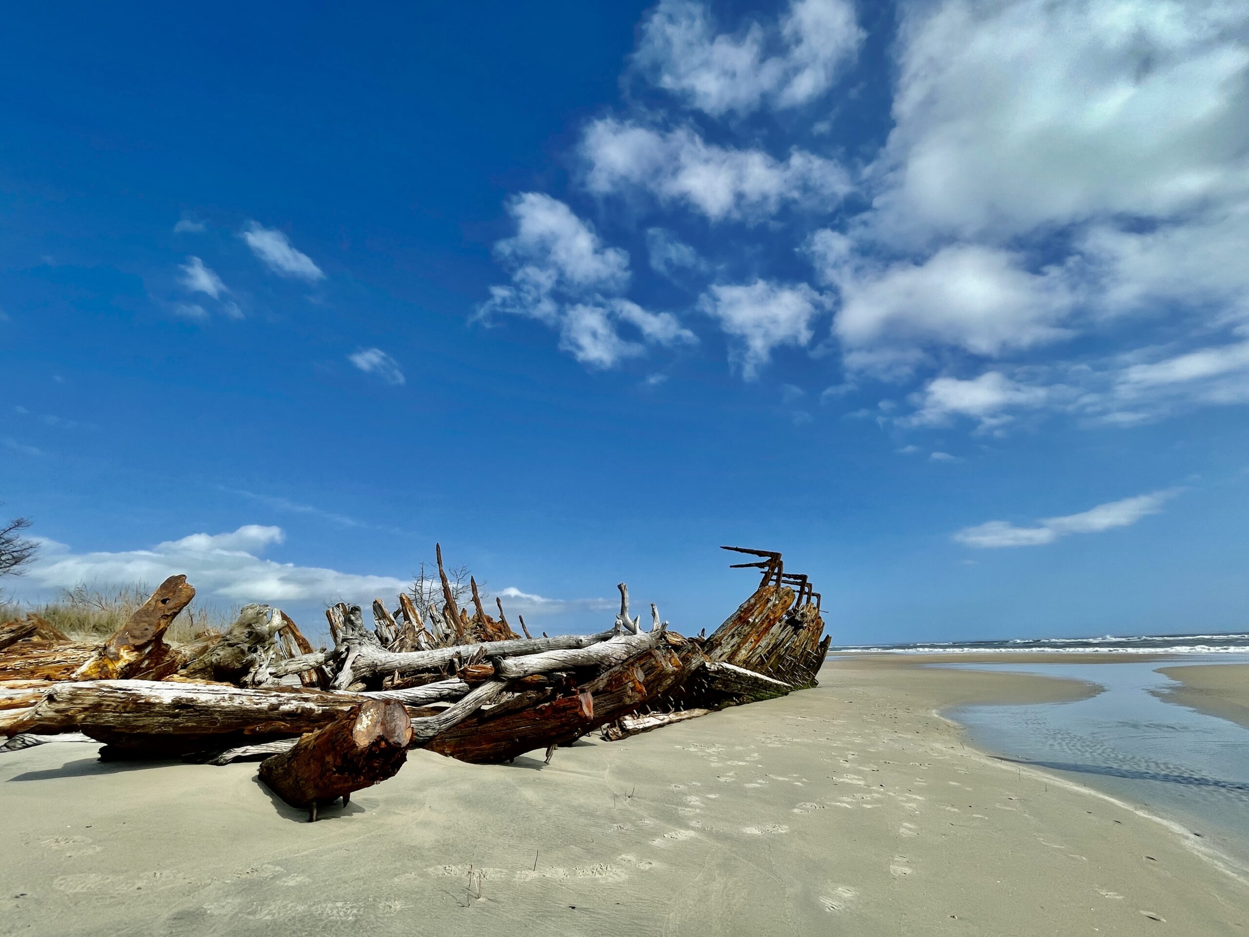 Remains of the Esk stand sentinel on Parramore Island on Virginia’s Eastern Shore.