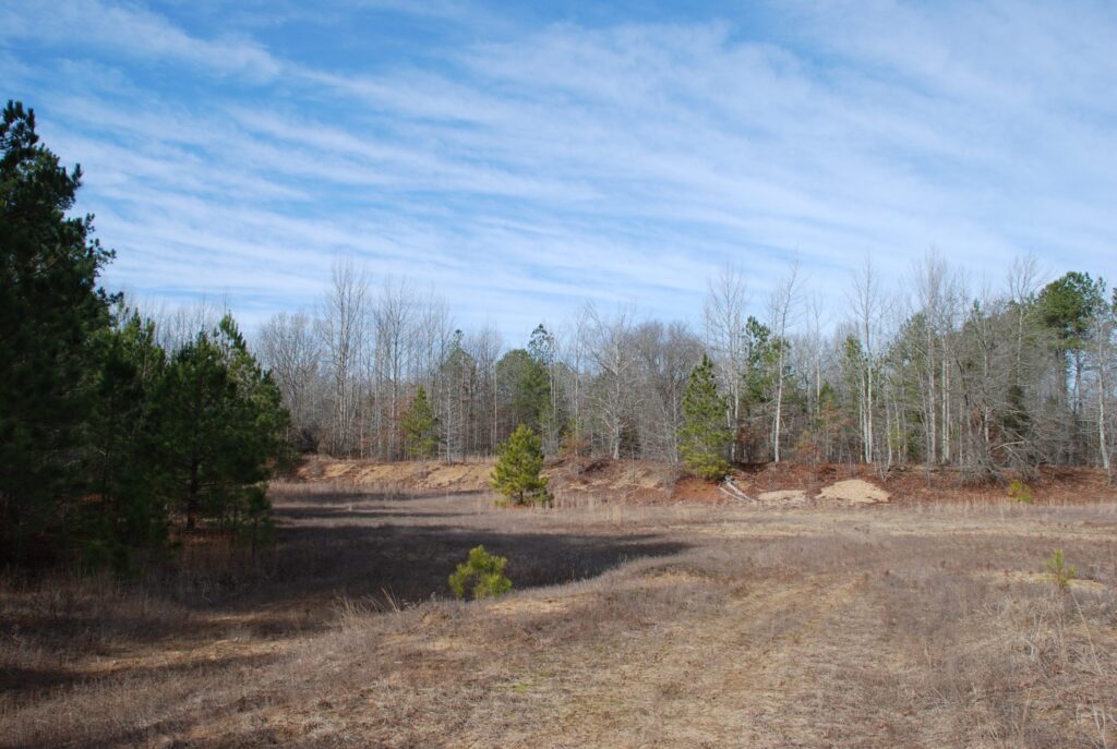 Oldest archaeological site in Virginia
