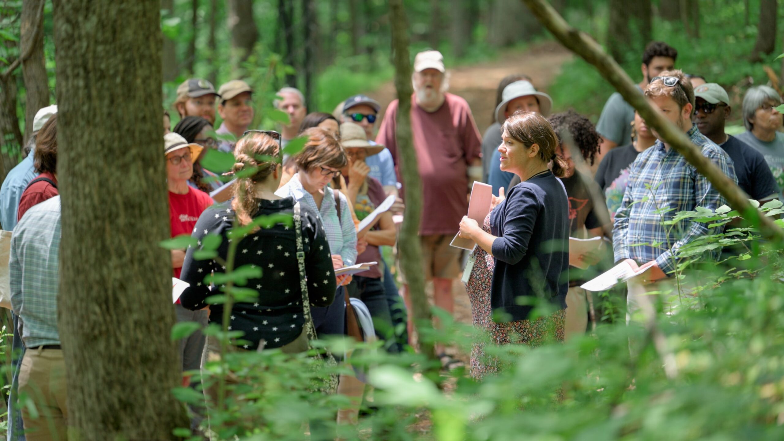A group of visitors in a forest setting learning about archaeology.