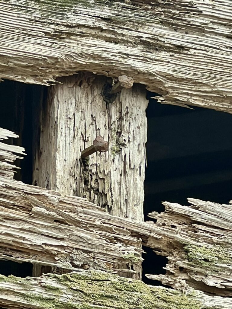 Blick plantation house framing and rosehead nails