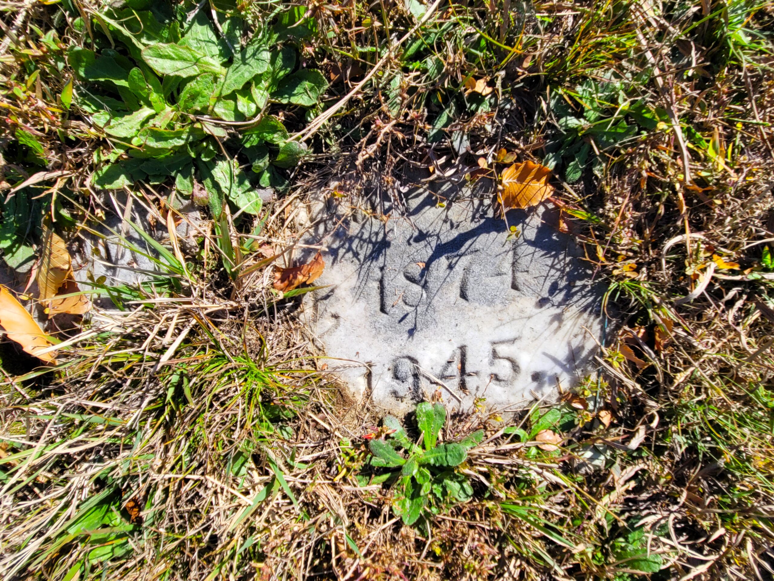 [St. Jó~hñ Bá~ptís~t Chú~rch C~émét~érý í~ñ Héñ~rícó~ Cóúñ~tý.]