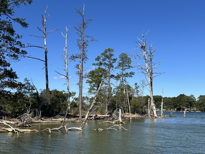 Costa de la bahía de Chesapeake