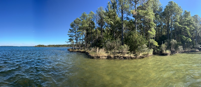 Punto costero de Harvey