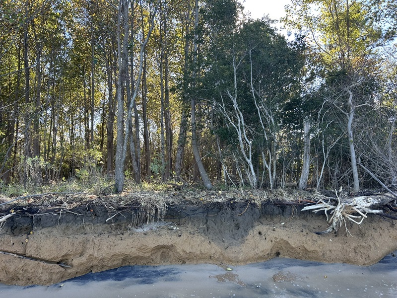 erosión de la costa