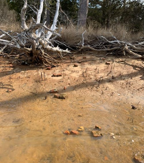 Bờ phía đông Virginia