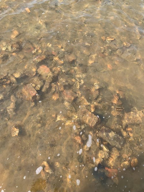 bờ biển phía đông virginia