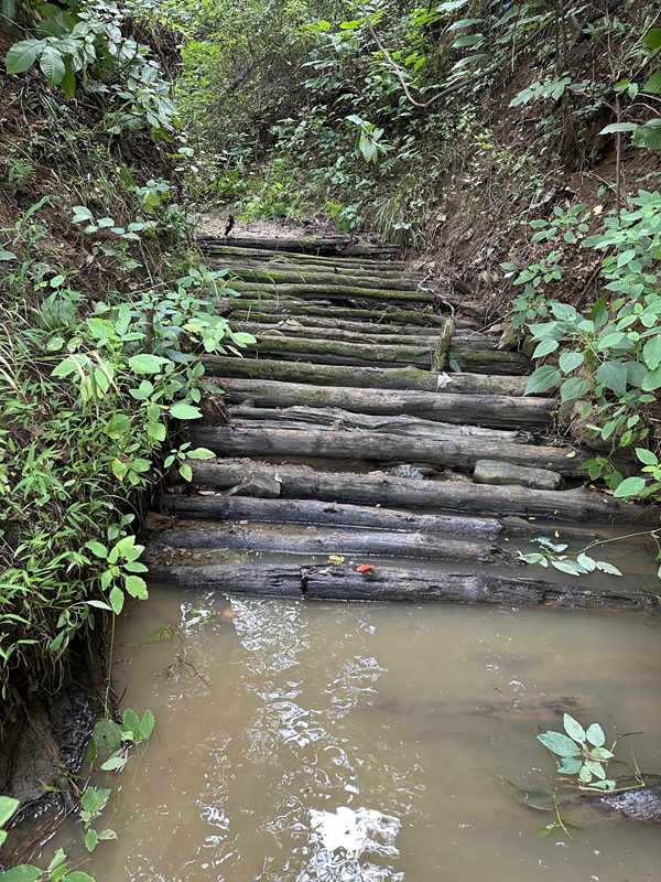 The exposed logs that remain from Barksdale’s Ford