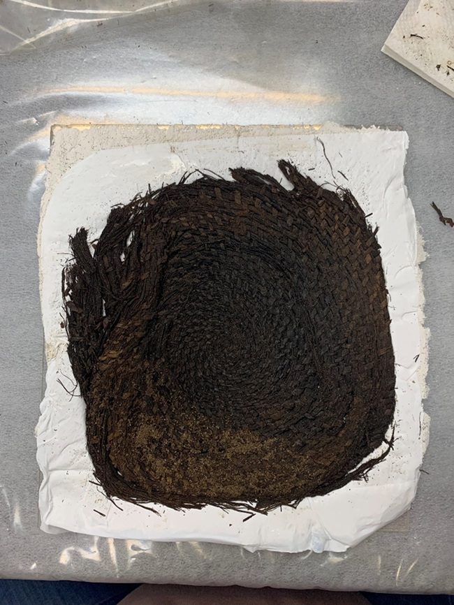 A pine needle basket from "Betsy" during its cleaning.