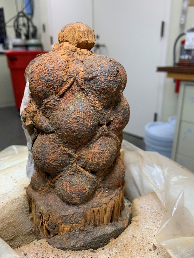 A grapeshot recovered from "Betsy".