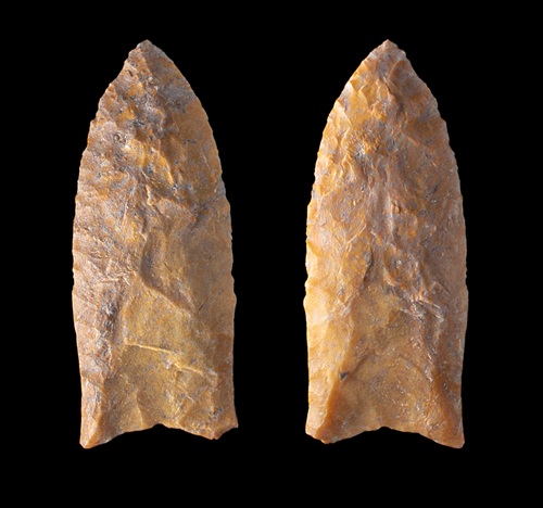 Clovis projectile point